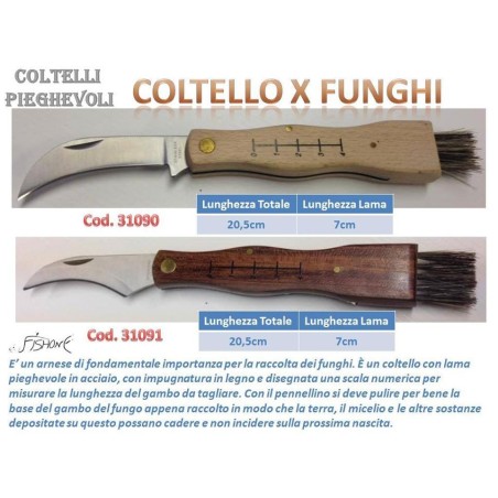 COLTELLINI PER FUNGHI