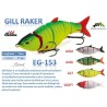 GILL RACHER EG-153