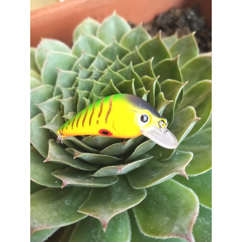 STRIKE-PRO MY TURN BARBLESS