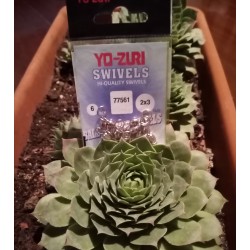 GIRELLE DOPPIE SNODATE