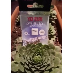 GIRELLE DOPPIE SNODATE