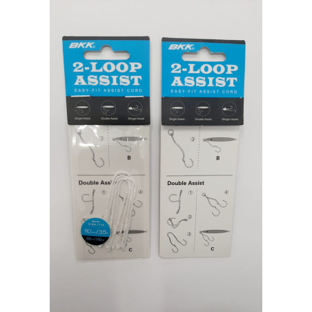 2 LOOP ASSIST  (BKK)