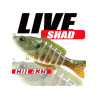 LIVE SHAD IN CERAMICA cm. 8,5   gr.10