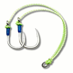 ASSIST  TENTACOLI JLC XIPI /XOCO 200LBS