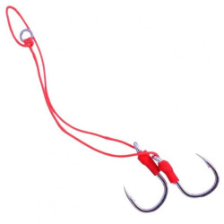 ASSIST JLC XIPI / XOCO